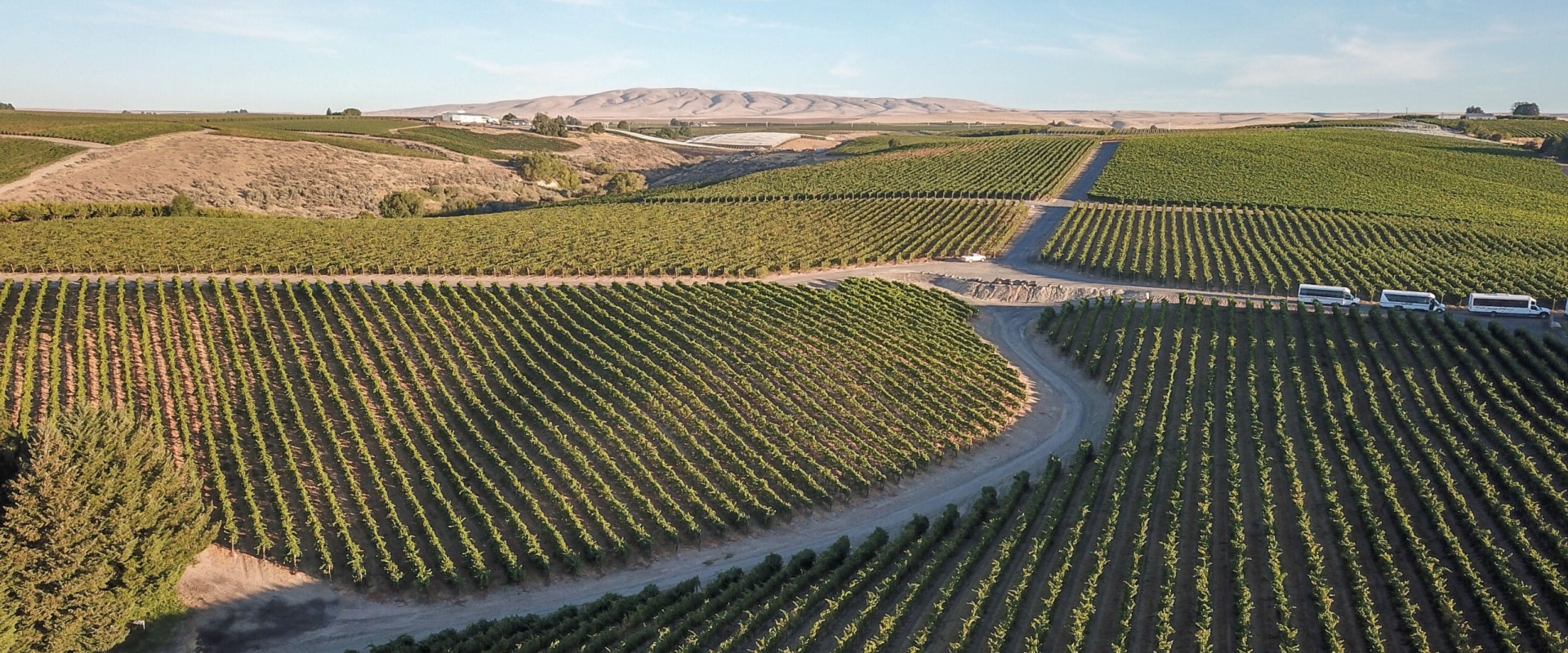 Ensuring Quality Control in the Wine Industry of Southwest Washington