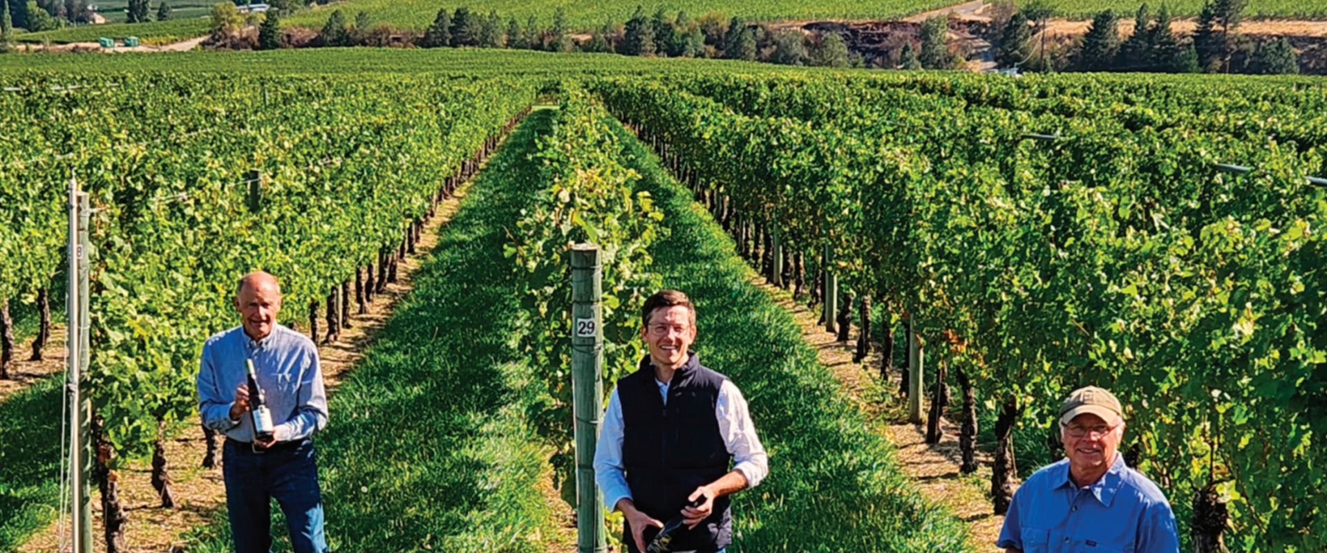 The Government's Role in Supporting and Funding the Wine Industry in Southwest Washington