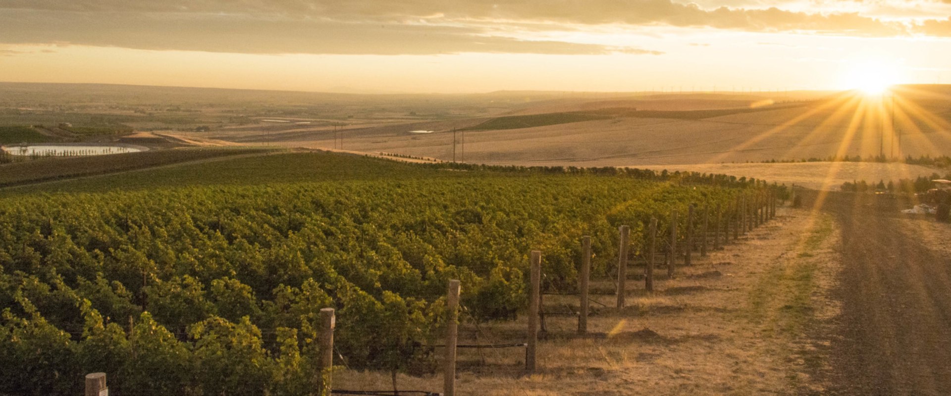 The Marketing Strategies of Southwest Washington's Wine Industry