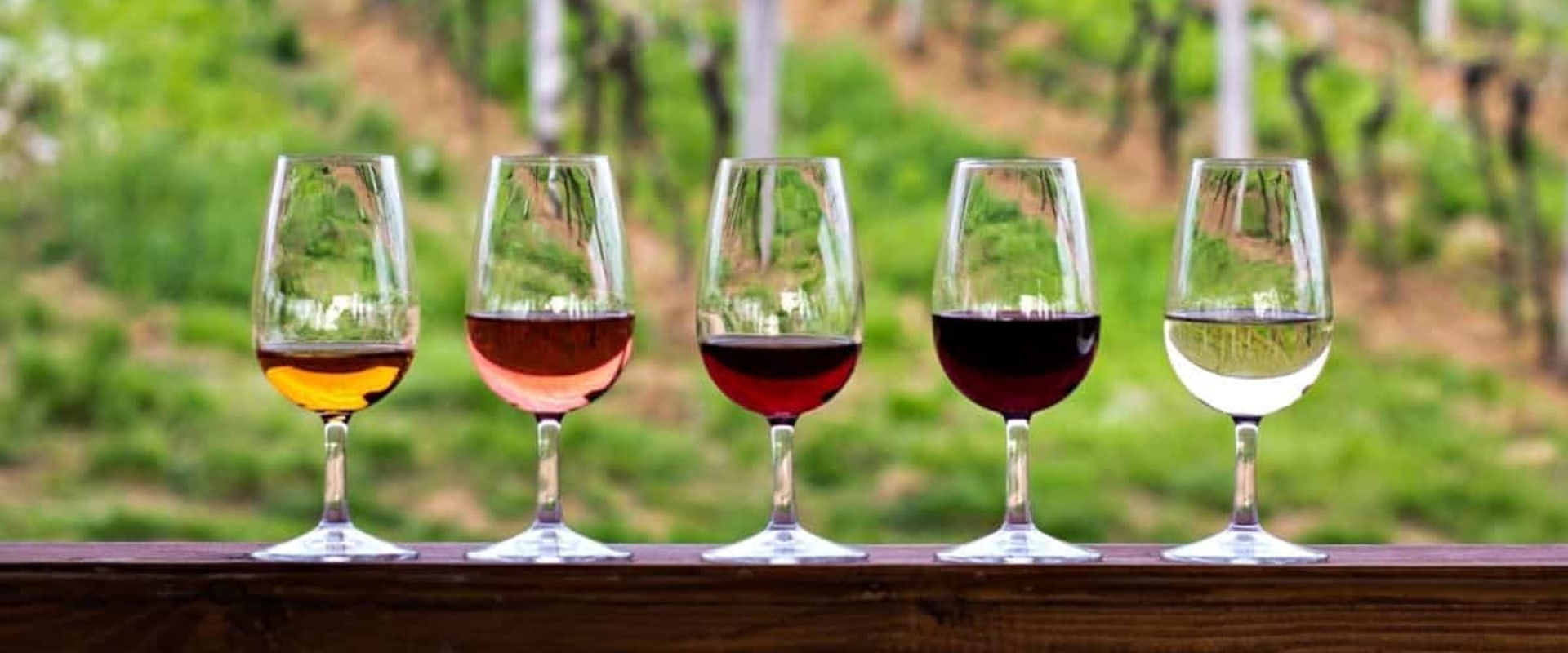 The Economic Impact of the Wine Industry in Southwest Washington