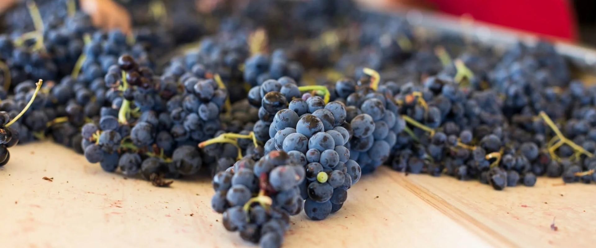 The Wine Industry in Southwest Washington: Exploring the Average Price Range