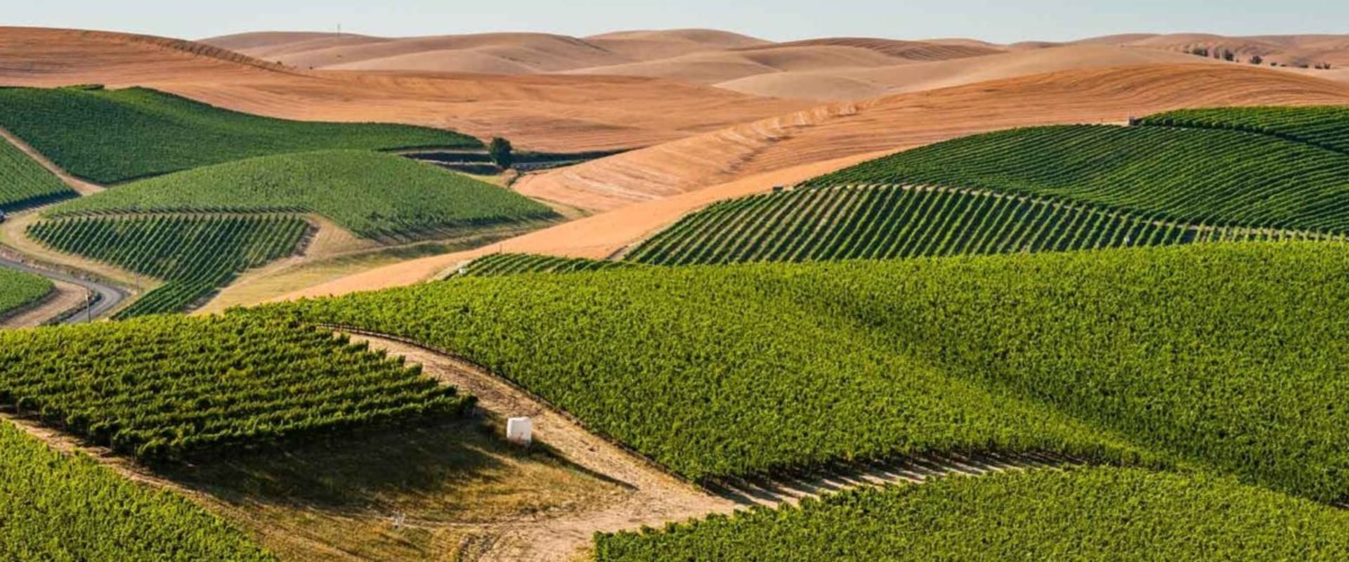 Exploring the Wine Industry in Southwest Washington