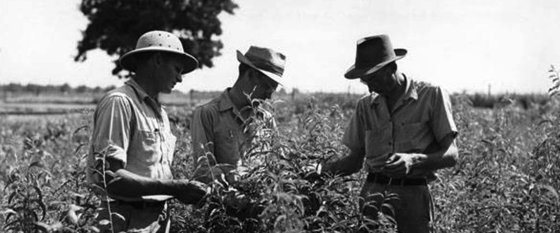 The Vital Role of Education and Training in the Wine Industry of Southwest Washington