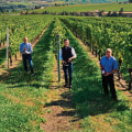 The Wine Industry in Southwest Washington: A Look into Distribution and Sales