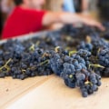 The Wine Industry in Southwest Washington: Exploring the Average Price Range