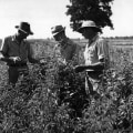The Vital Role of Education and Training in the Wine Industry of Southwest Washington