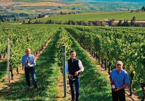 The Government's Role in Supporting and Funding the Wine Industry in Southwest Washington