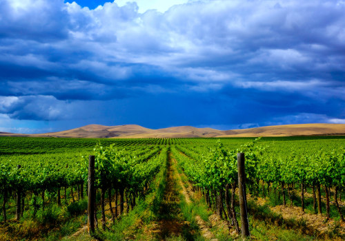 The Impact of Wineries in Southwest Washington on the Local Community