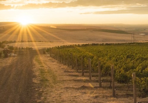 The Marketing Strategies of Southwest Washington's Wine Industry