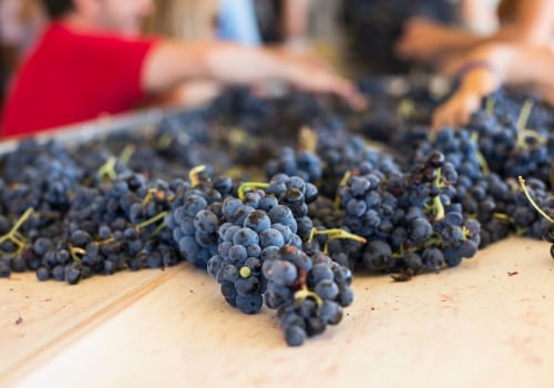 The Wine Industry in Southwest Washington: Exploring the Average Price Range