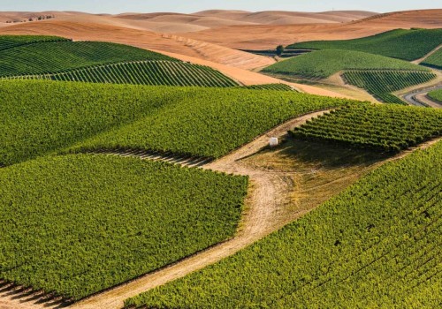 Exploring the Wine Industry in Southwest Washington