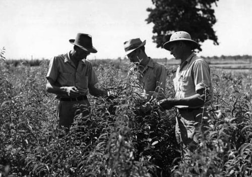 The Vital Role of Education and Training in the Wine Industry of Southwest Washington