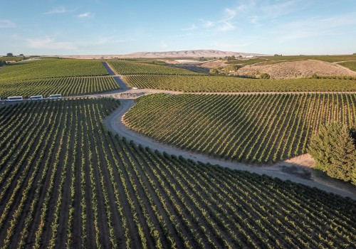 Sustainable Practices in the Wine Industry of Southwest Washington